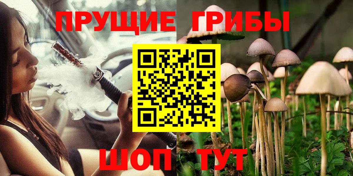 Сорочинск  Псилоцибиновые грибы ЛСД  Псилоцибиновые грибы Magic Shrooms  Вход с VPN 